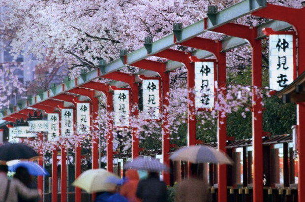 Tokyo